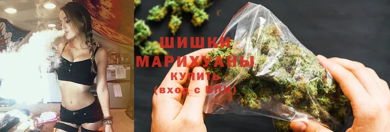 Канабис SATIVA & INDICA  darknet Telegram  Белый  где купить наркоту 